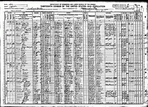 In 1870, three of Melvinia’s four children, including Dolphus, were listed on the census as mulatto. One was born four years after emancipation, suggesting that the liaison that produced those children endured after slavery.